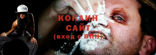 мяу мяу кристалл Переславль-Залесский