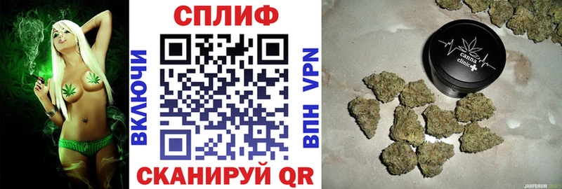 наркотики  Фурманов  Марихуана конопля 